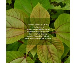 Mamaki Tea - Hawaiian Organic Caffeine Free 2oz
