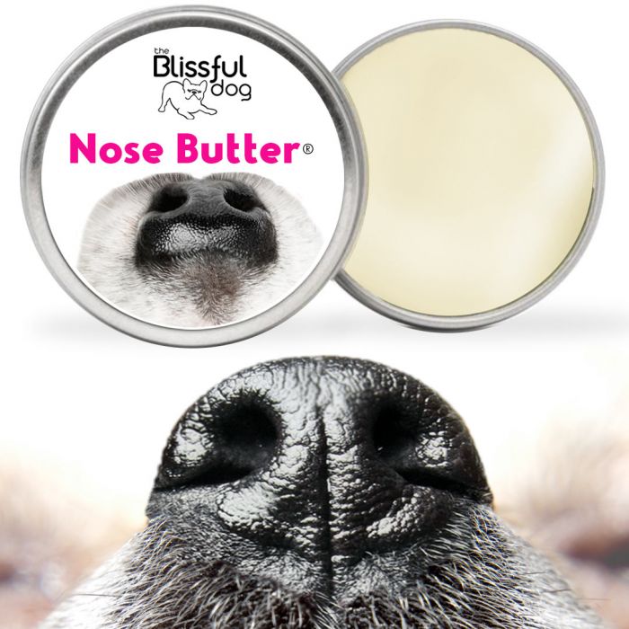 what is dog nose butter