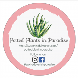 Potted Plants in Paradise